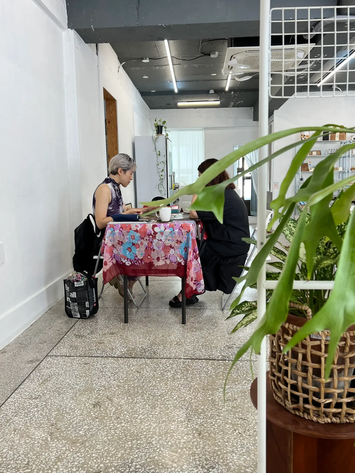 이미지 8