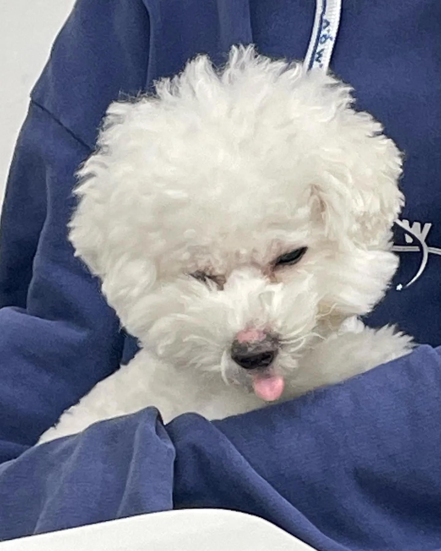 이미지 9