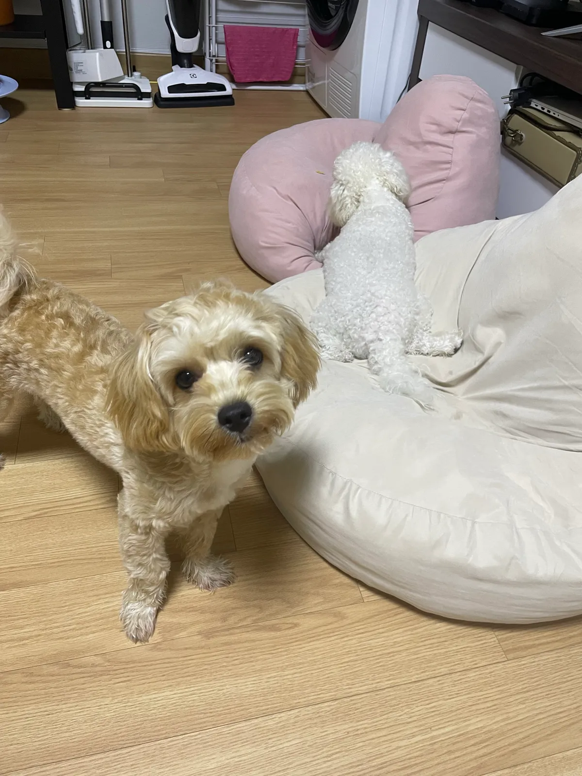 이미지 7
