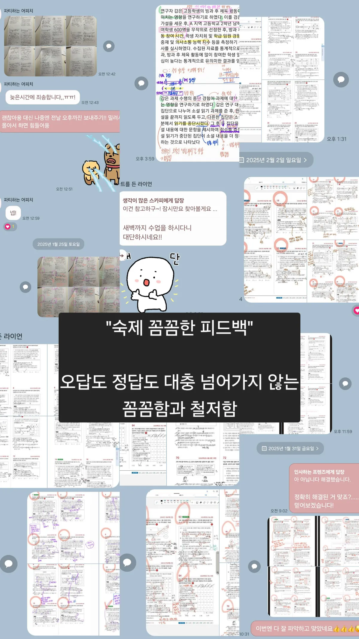 이미지 5