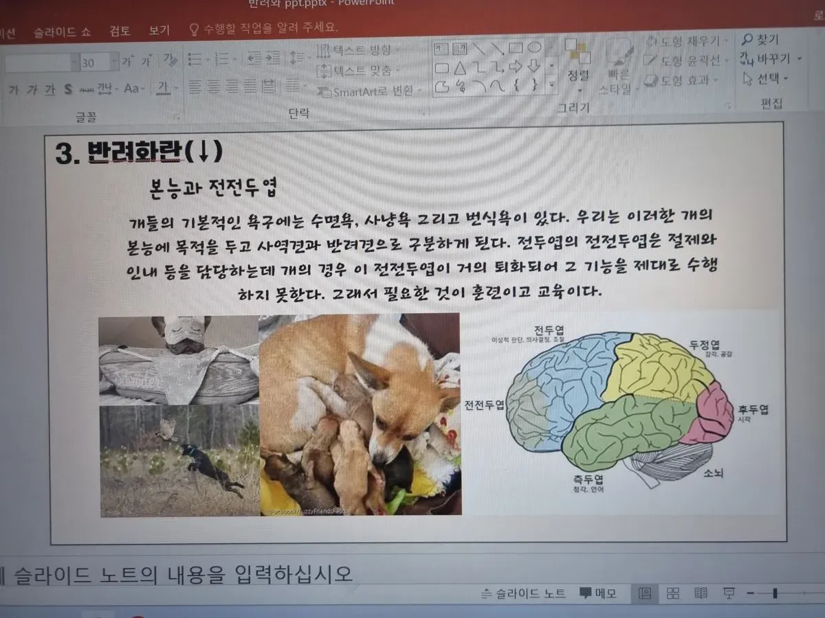 이미지 4