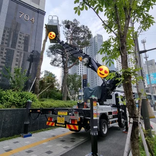 과천 푸르지오아파트 소나무 전지작업