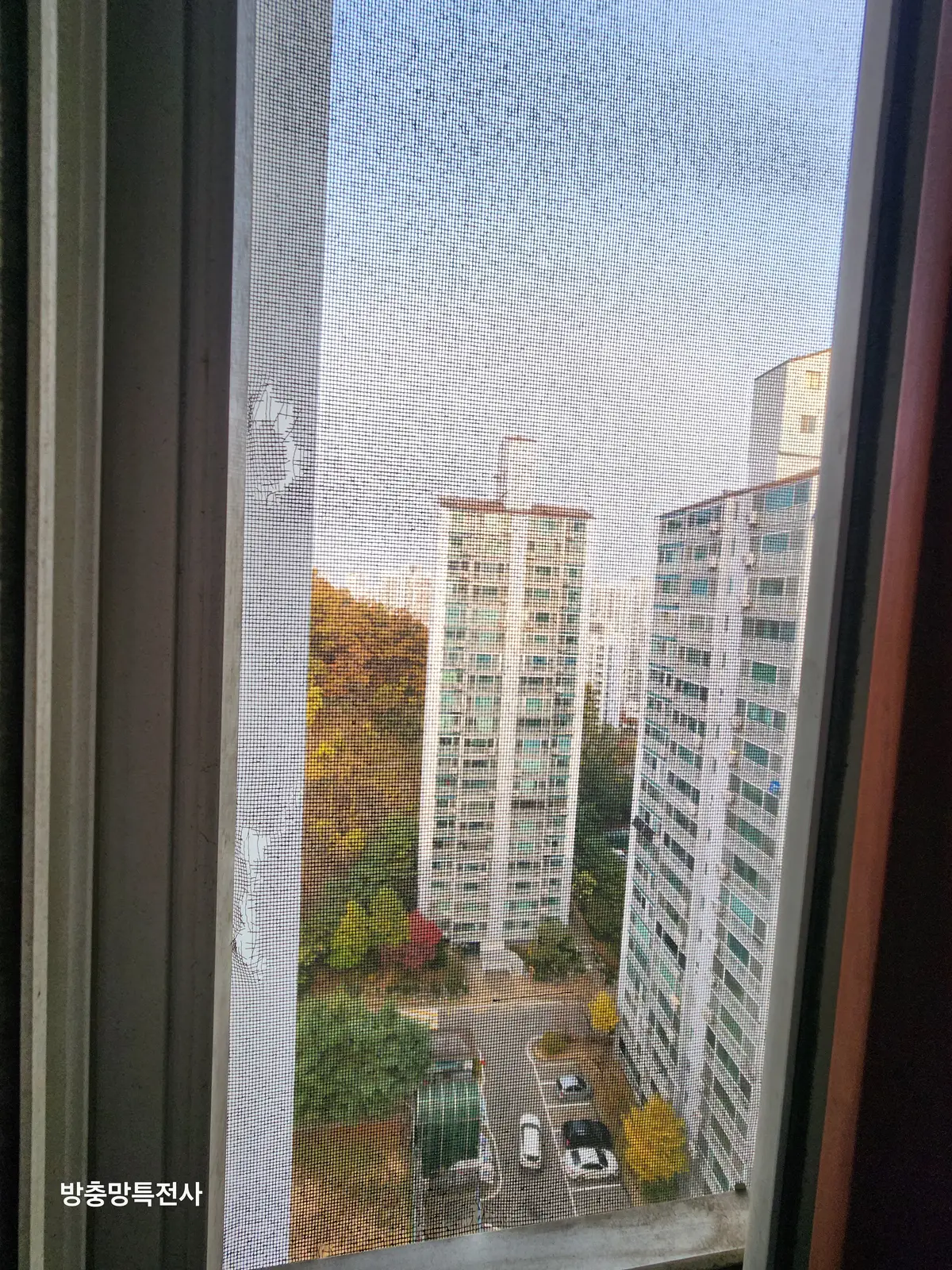 이미지 6