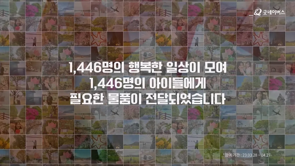 이미지 11