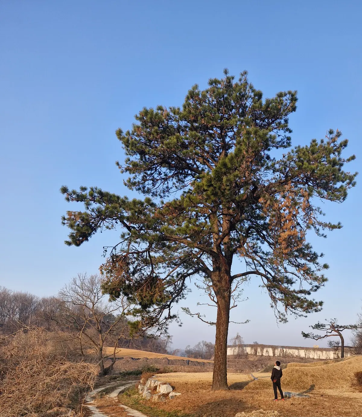 이미지 10
