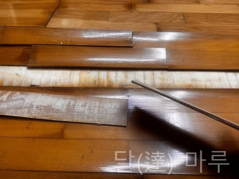 이미지 3