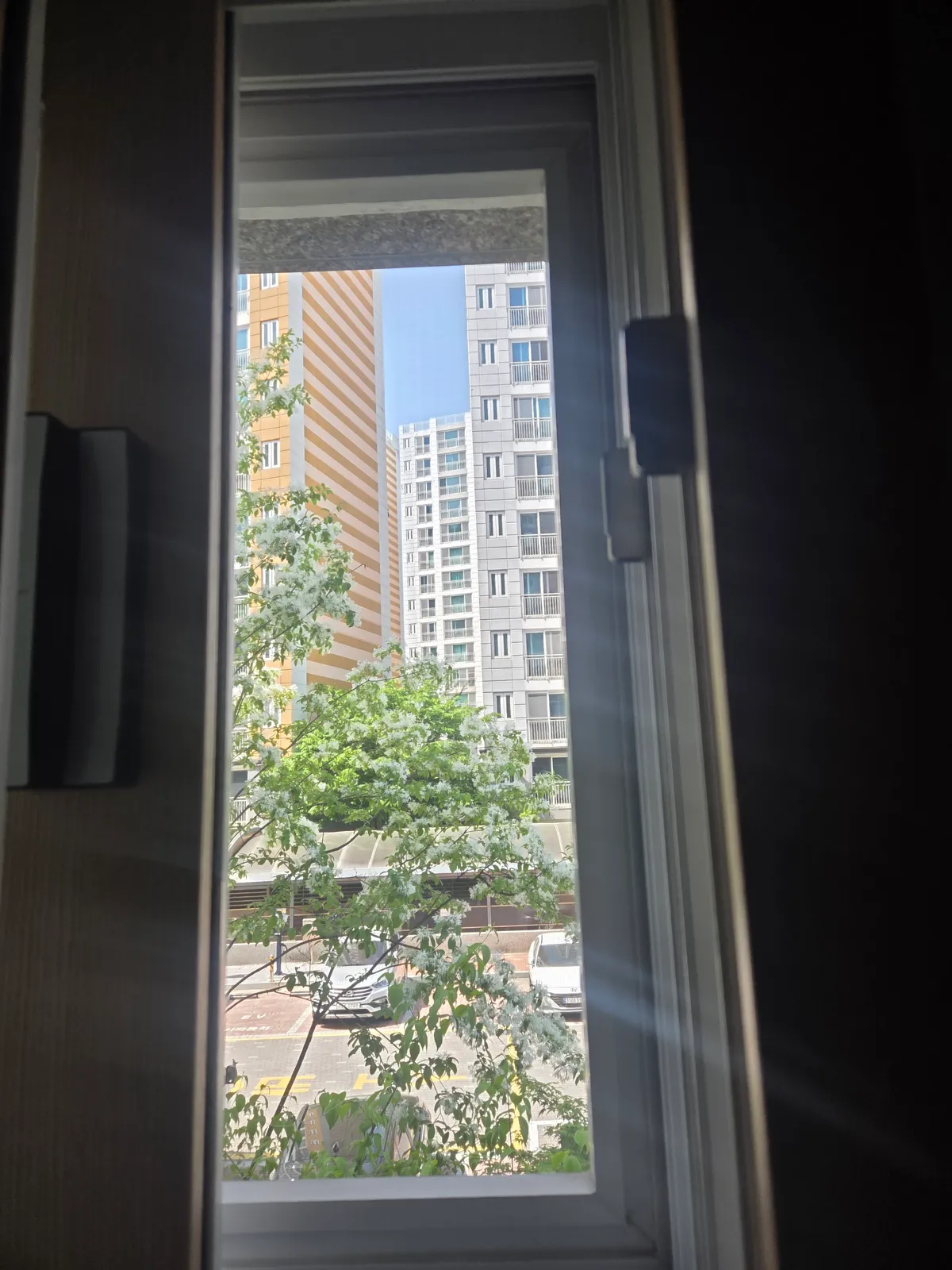 이미지 14