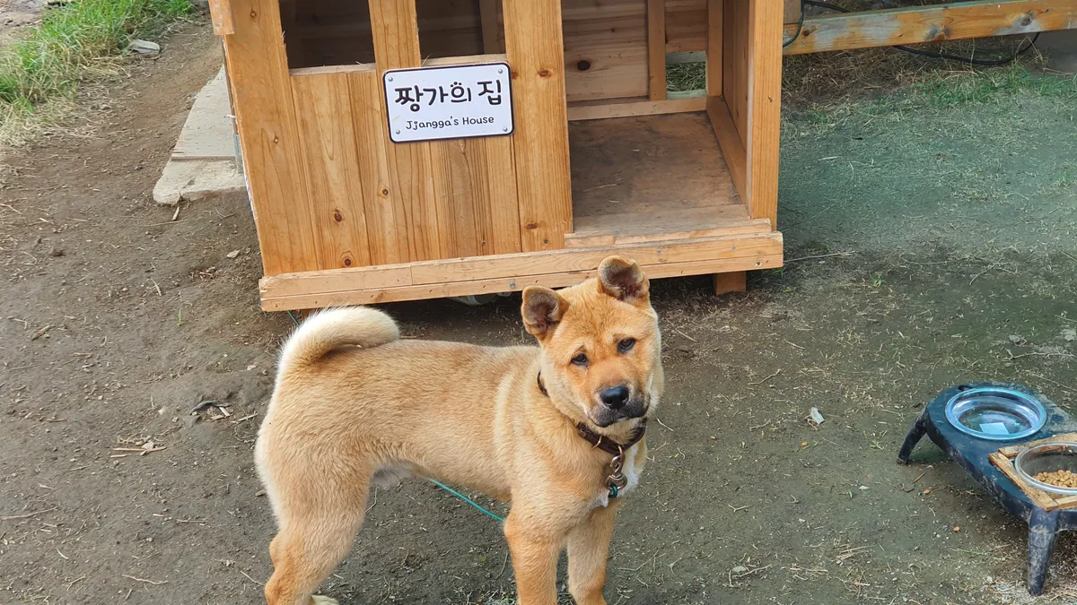 이미지 2