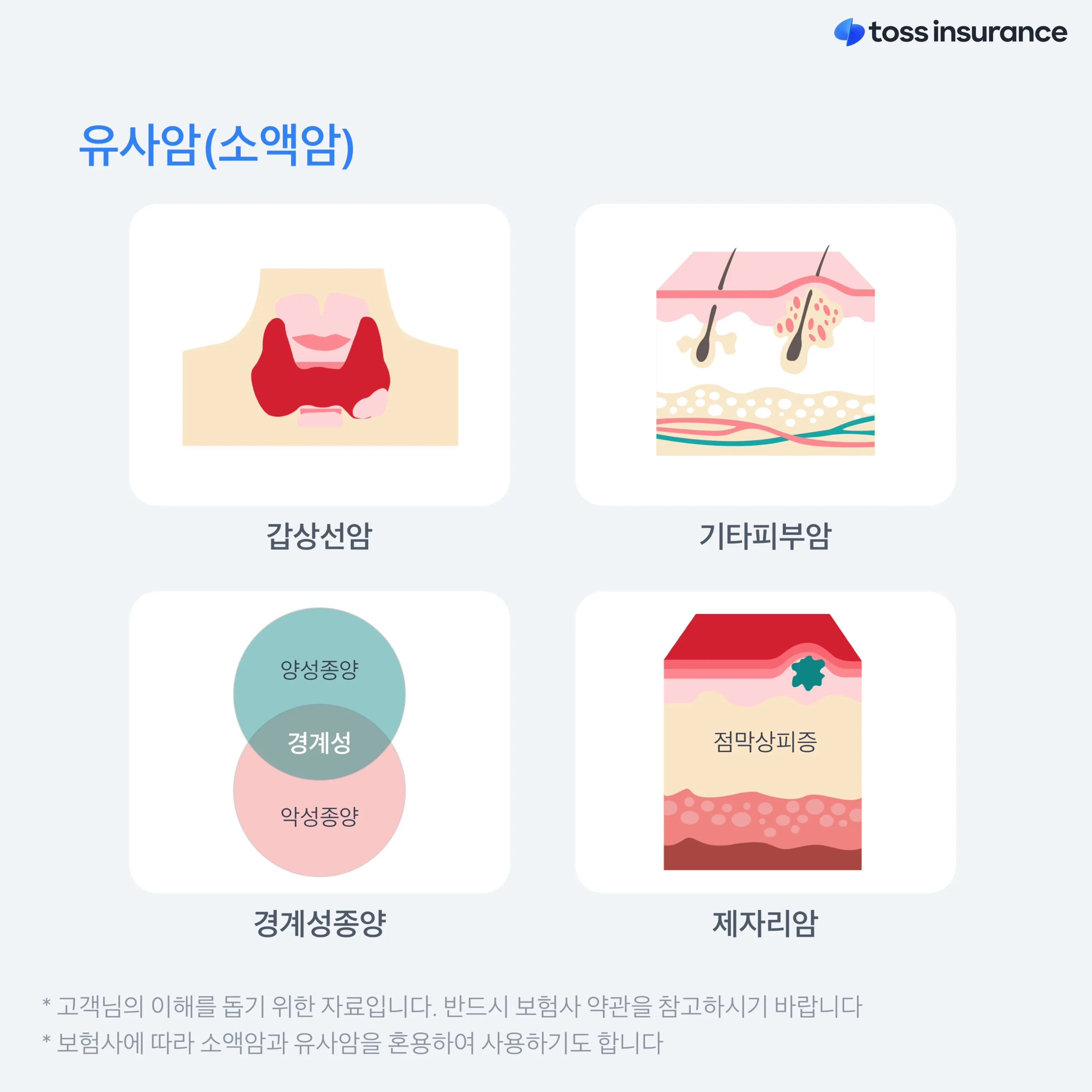 이미지 6