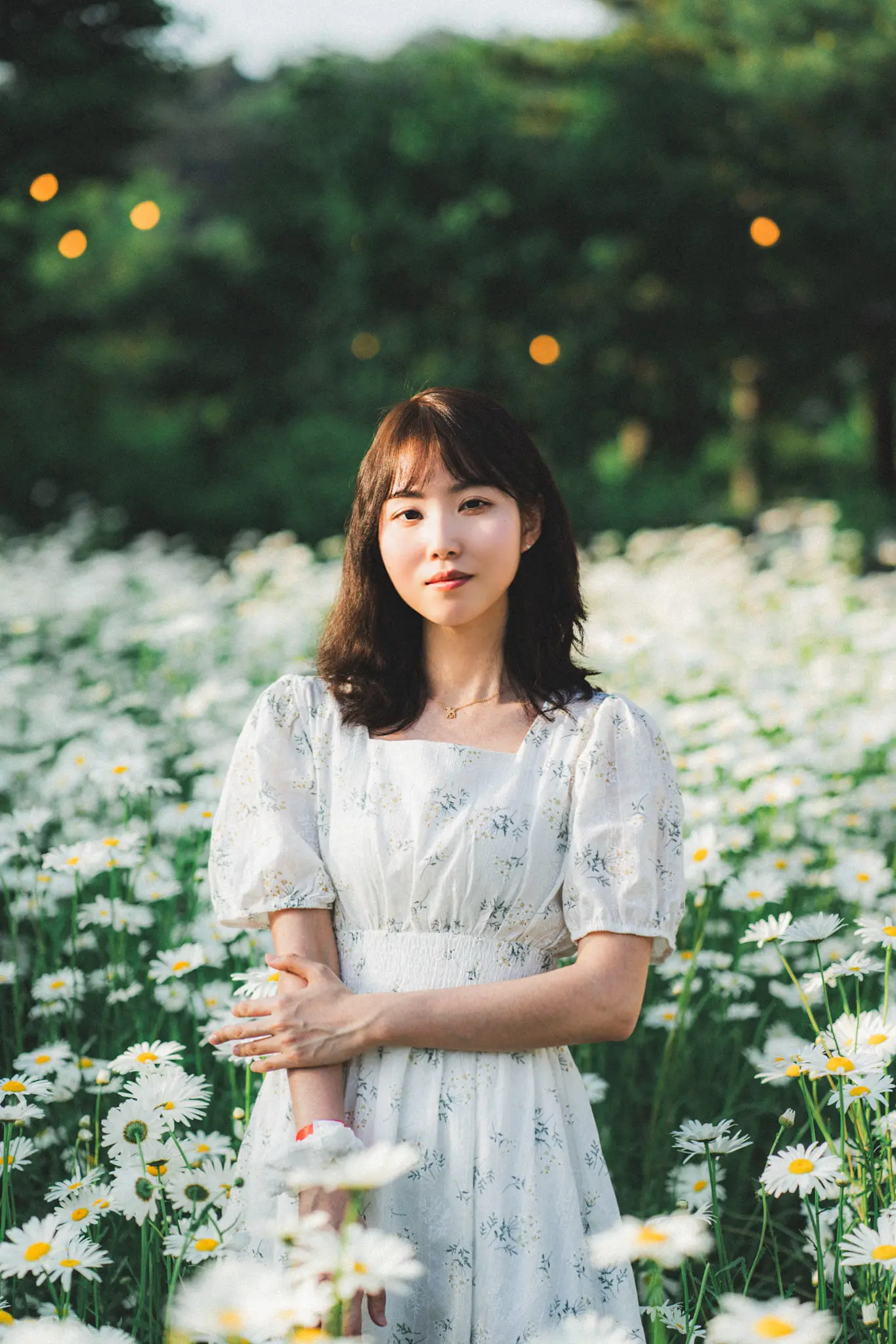 이미지 4