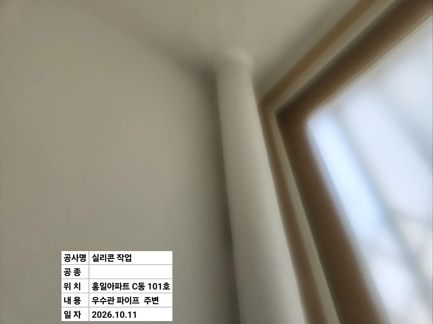 이미지 7