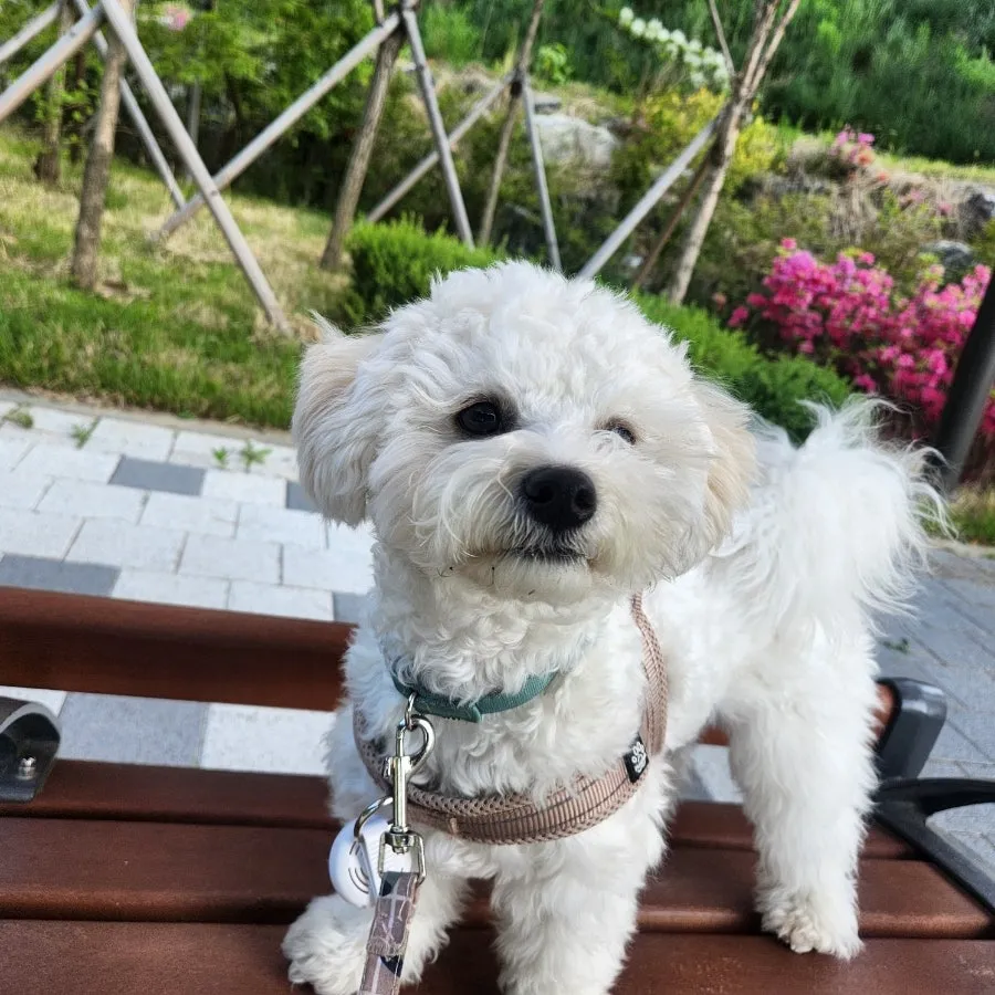이미지 8