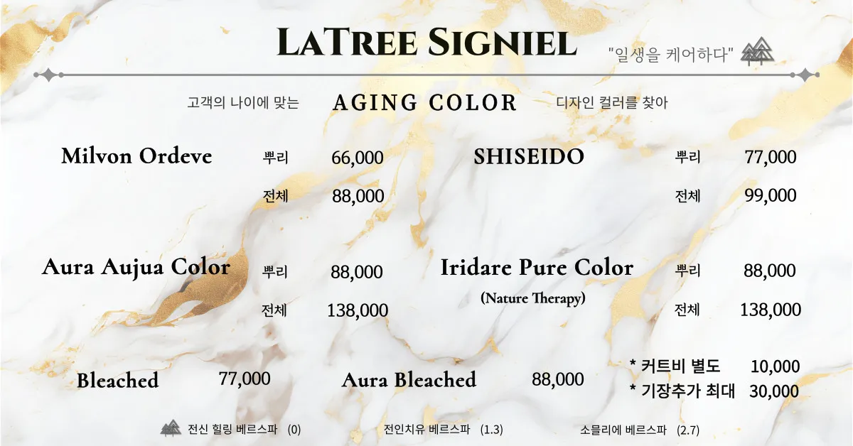 이미지 10