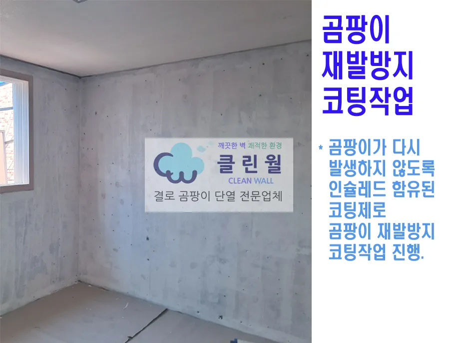 이미지 5