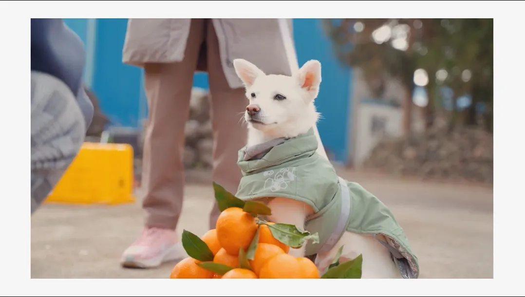 이미지 7