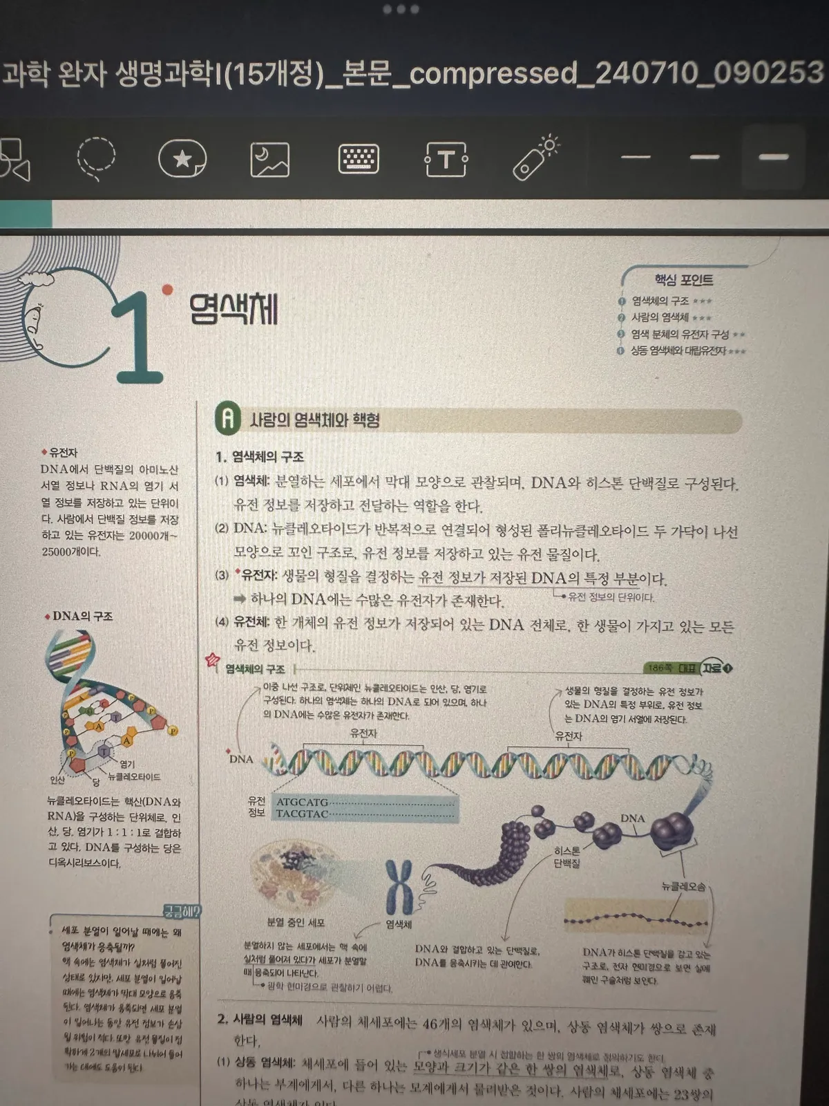 이미지 3