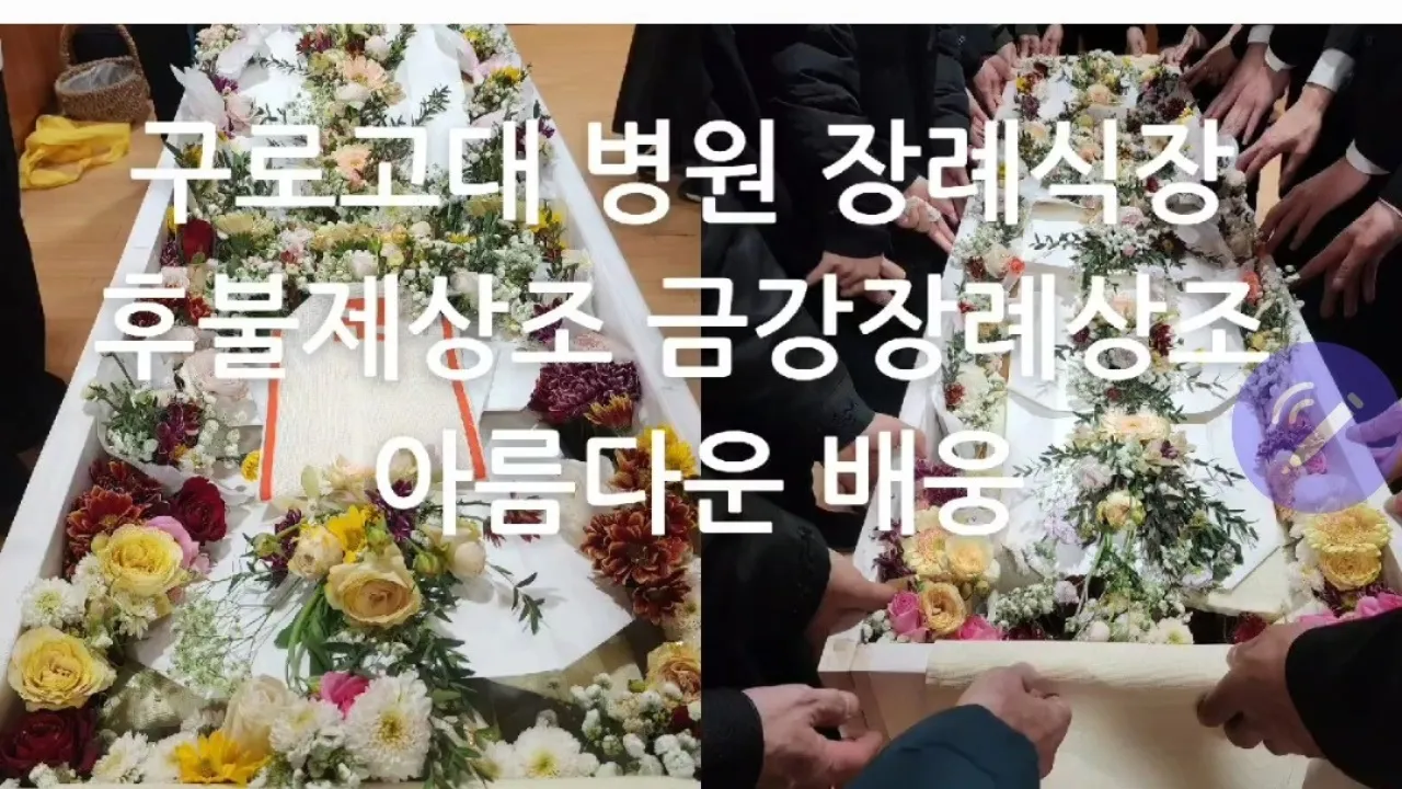 이미지 5