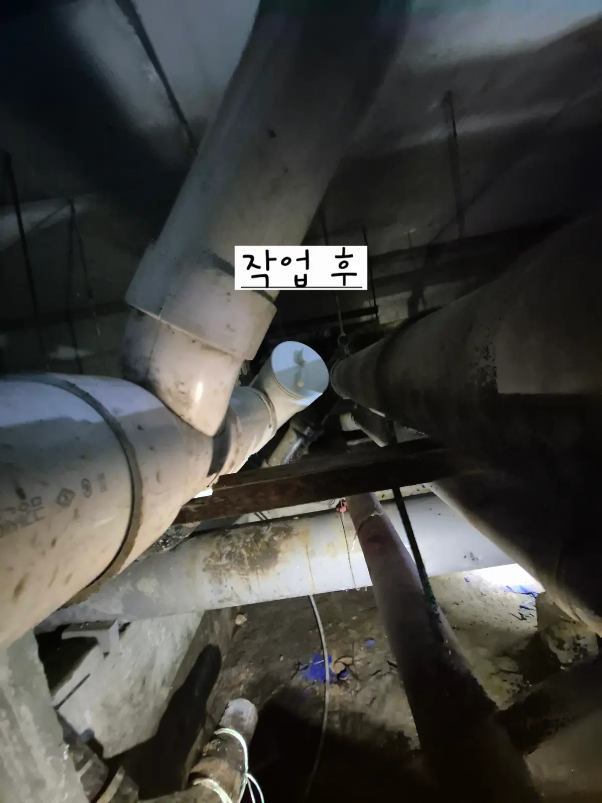 이미지 11
