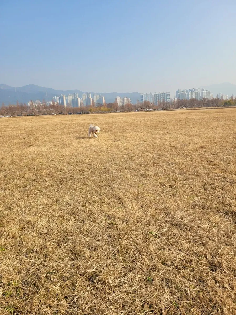 이미지 9