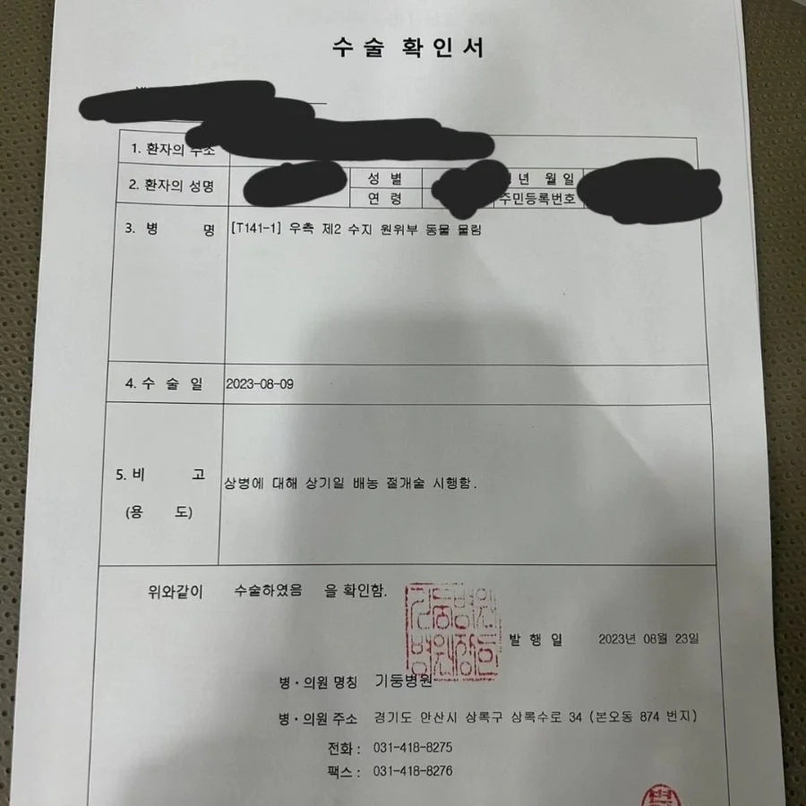 이미지 5