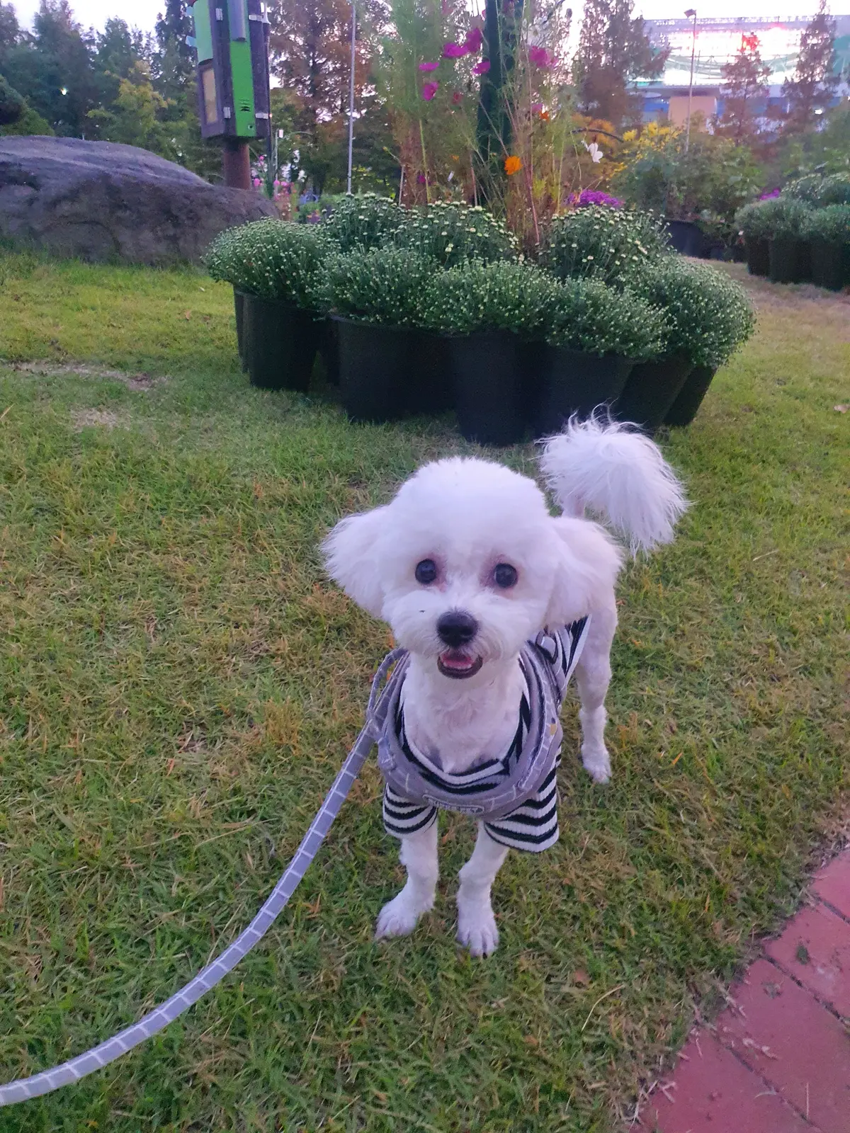 이미지 2