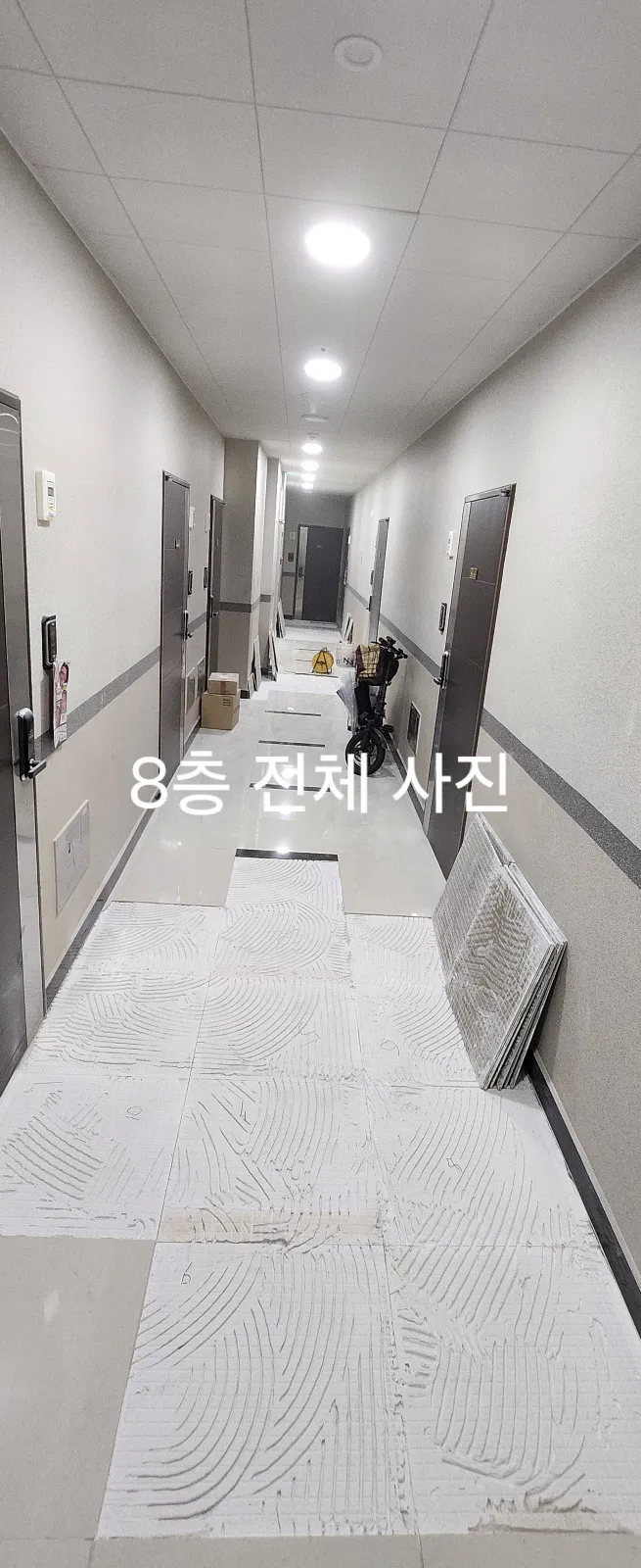 이미지 5