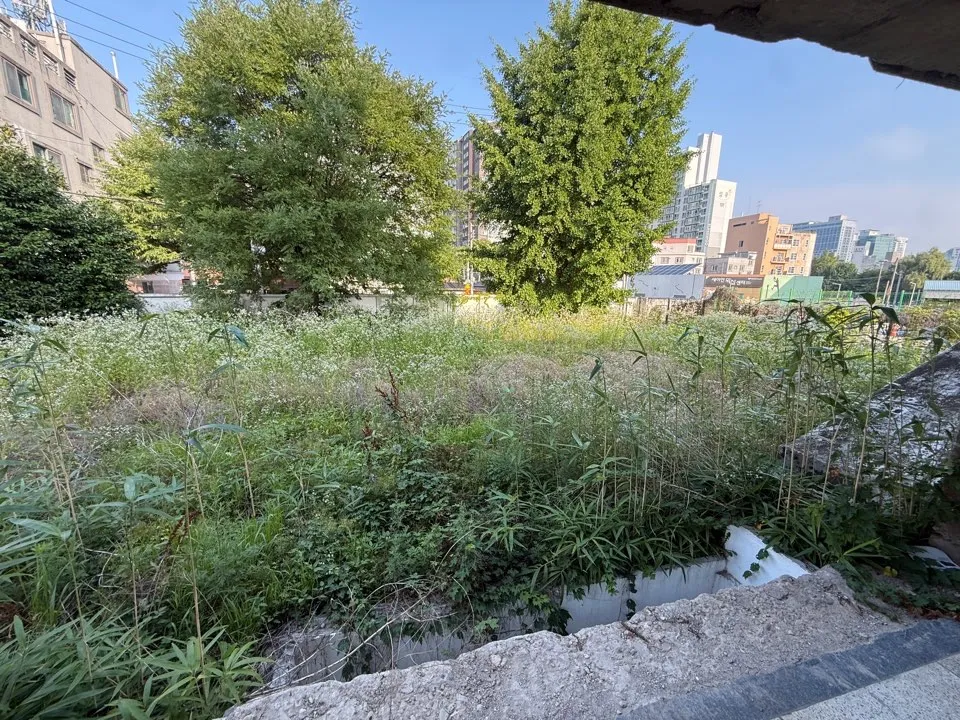 이미지 5