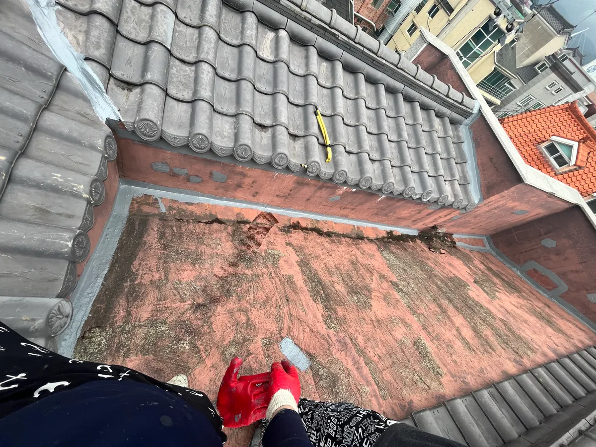 이미지 9