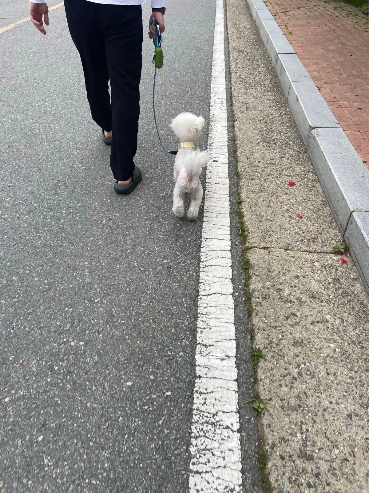 이미지 3