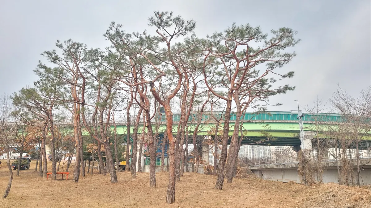 이미지 5