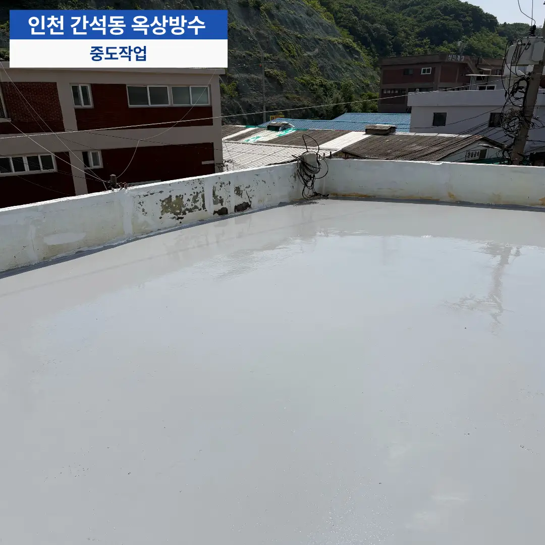 이미지 16