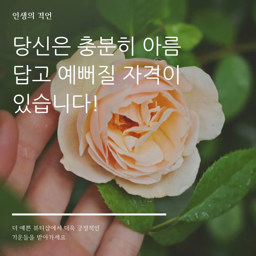 이미지 4