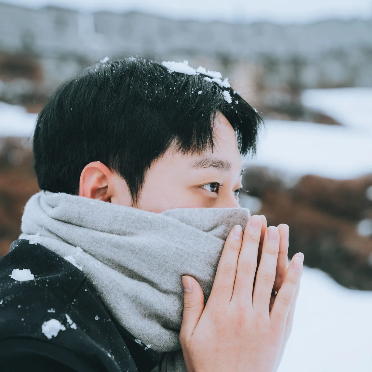 이미지 10