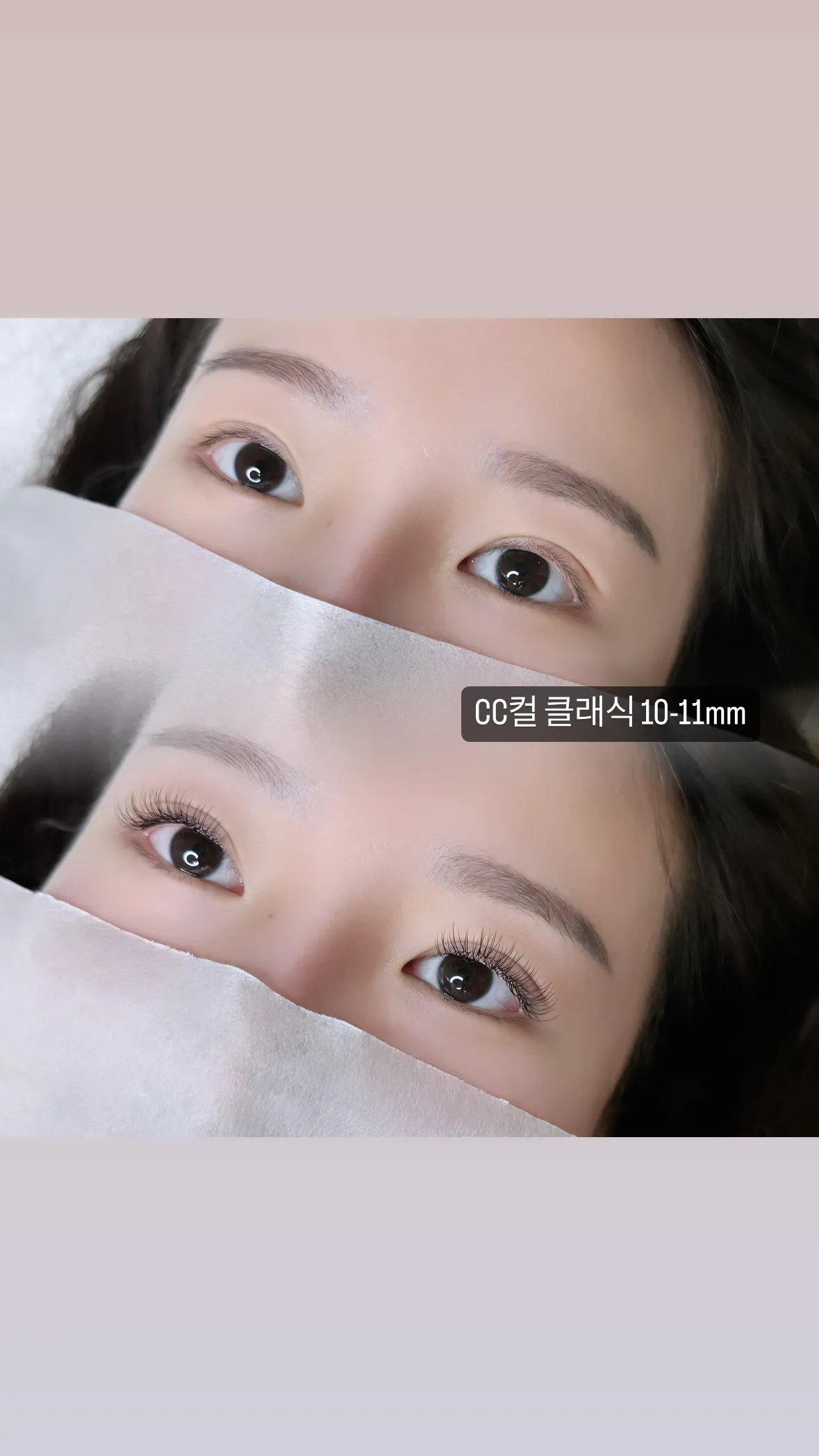 이미지 5