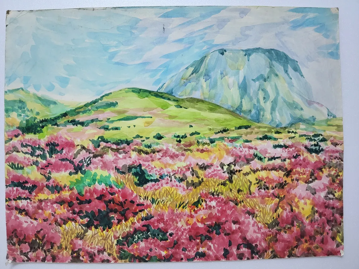 이미지 14
