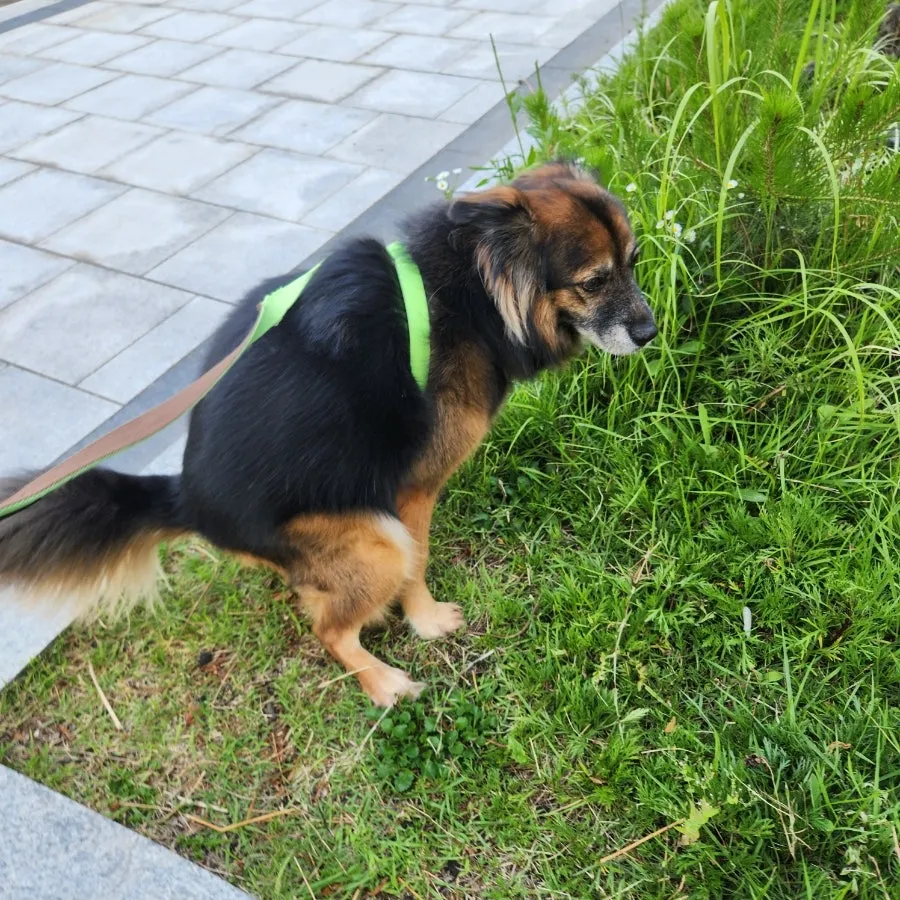 이미지 5
