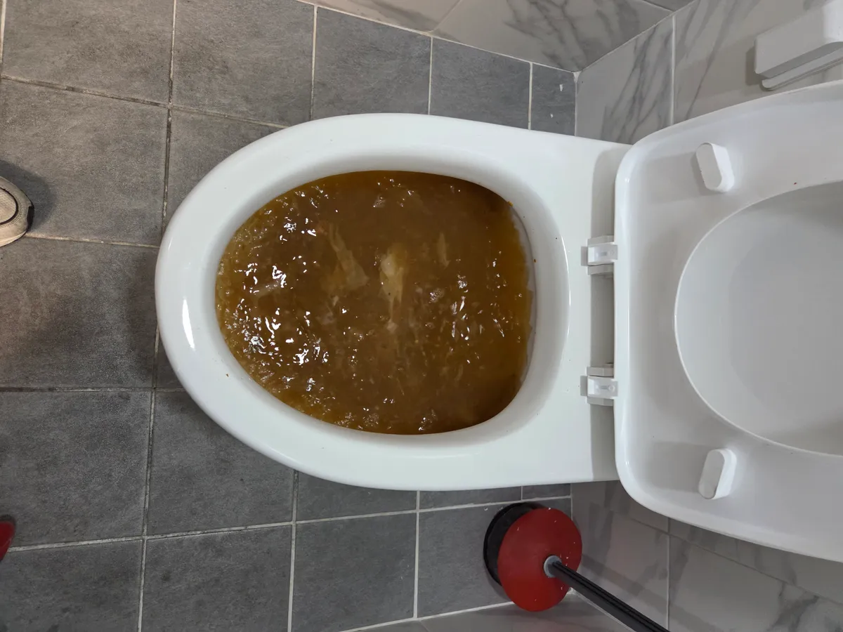 이미지 10