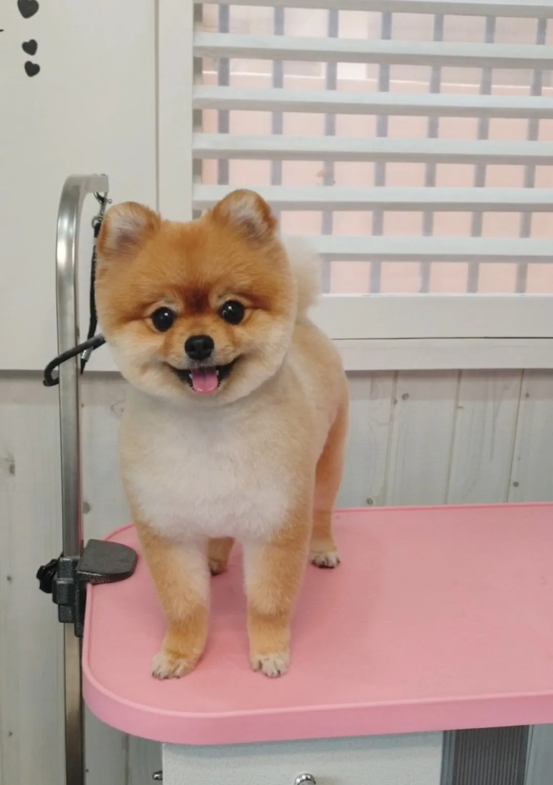 이미지 7