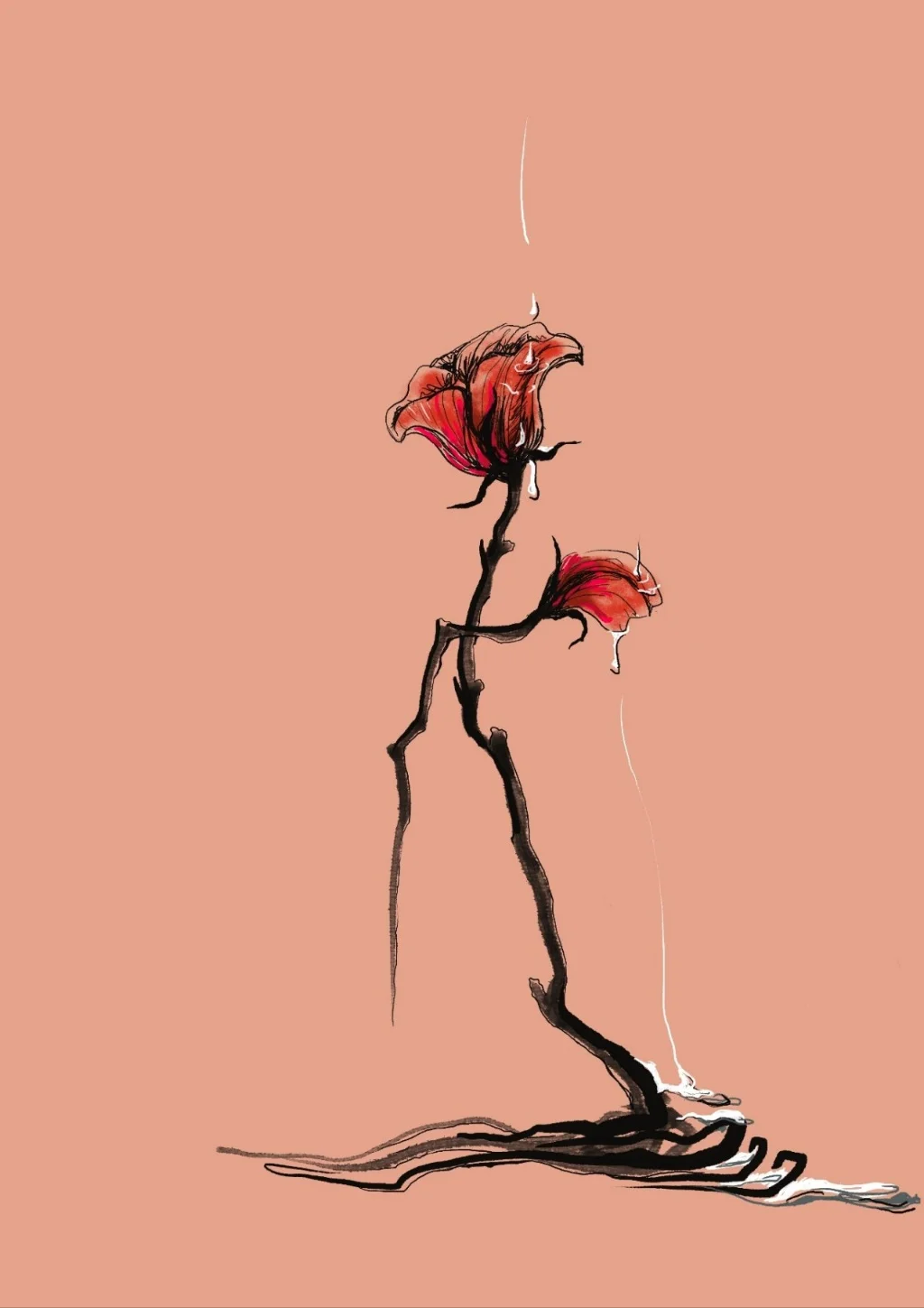 이미지 5