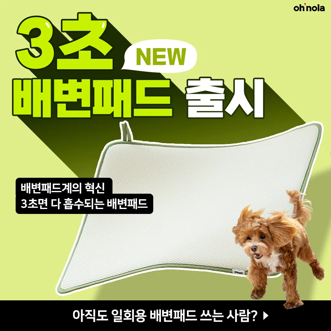 이미지 8
