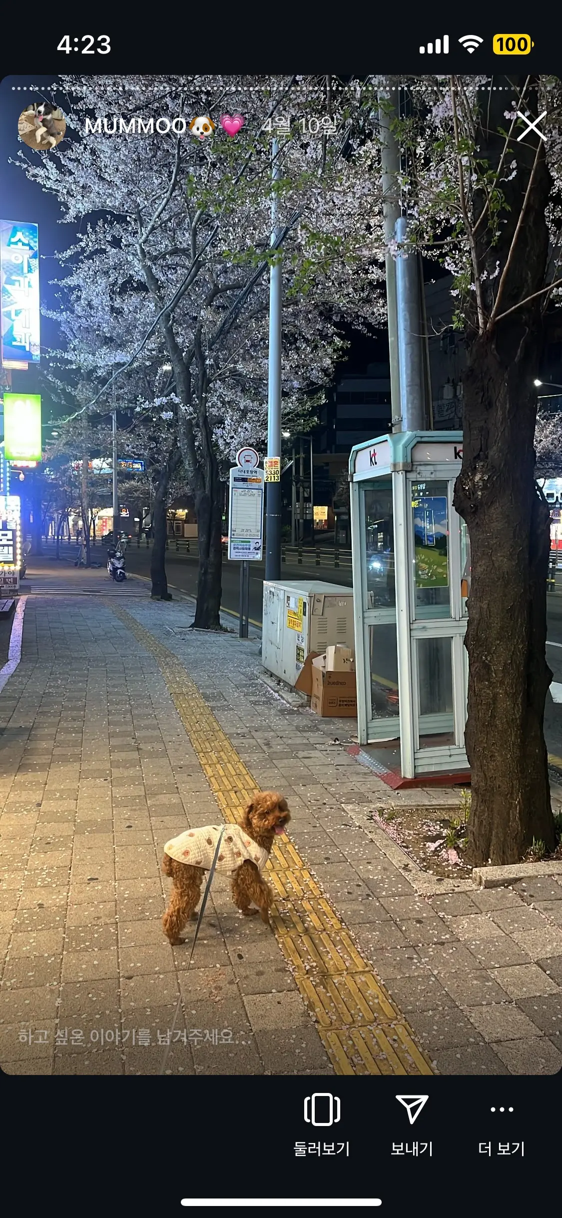 이미지 9