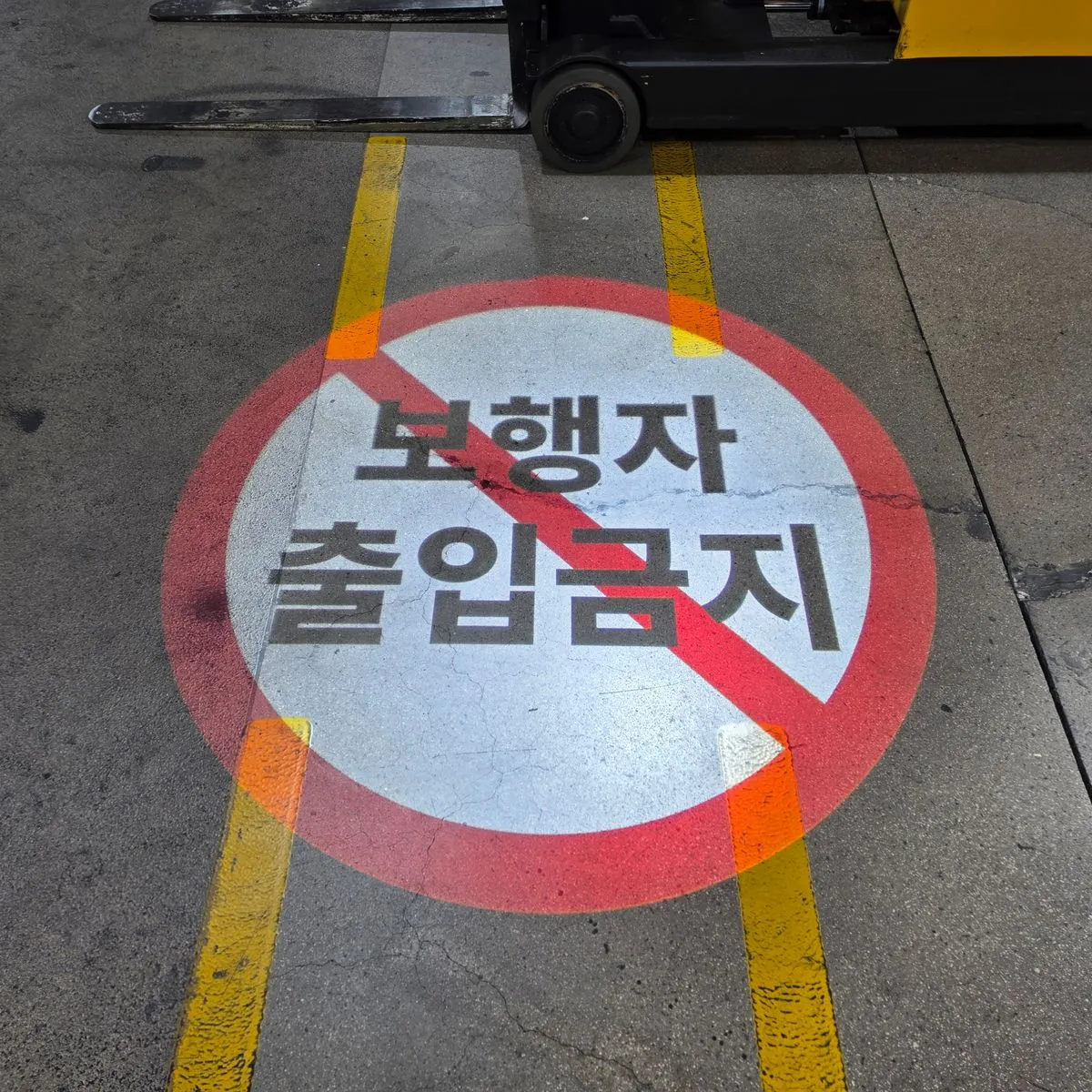 포트폴리오 대표 이미지