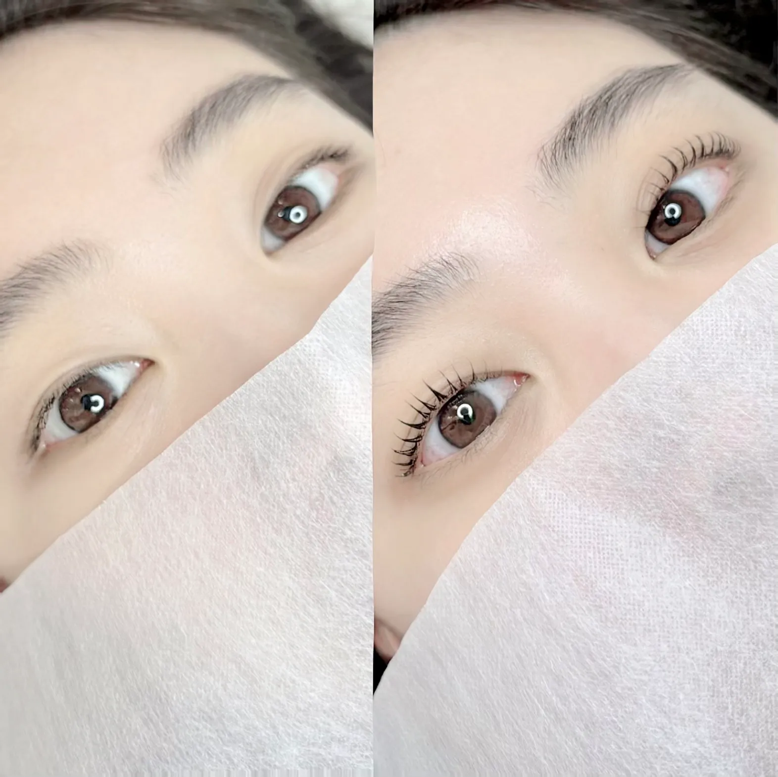 이미지 8