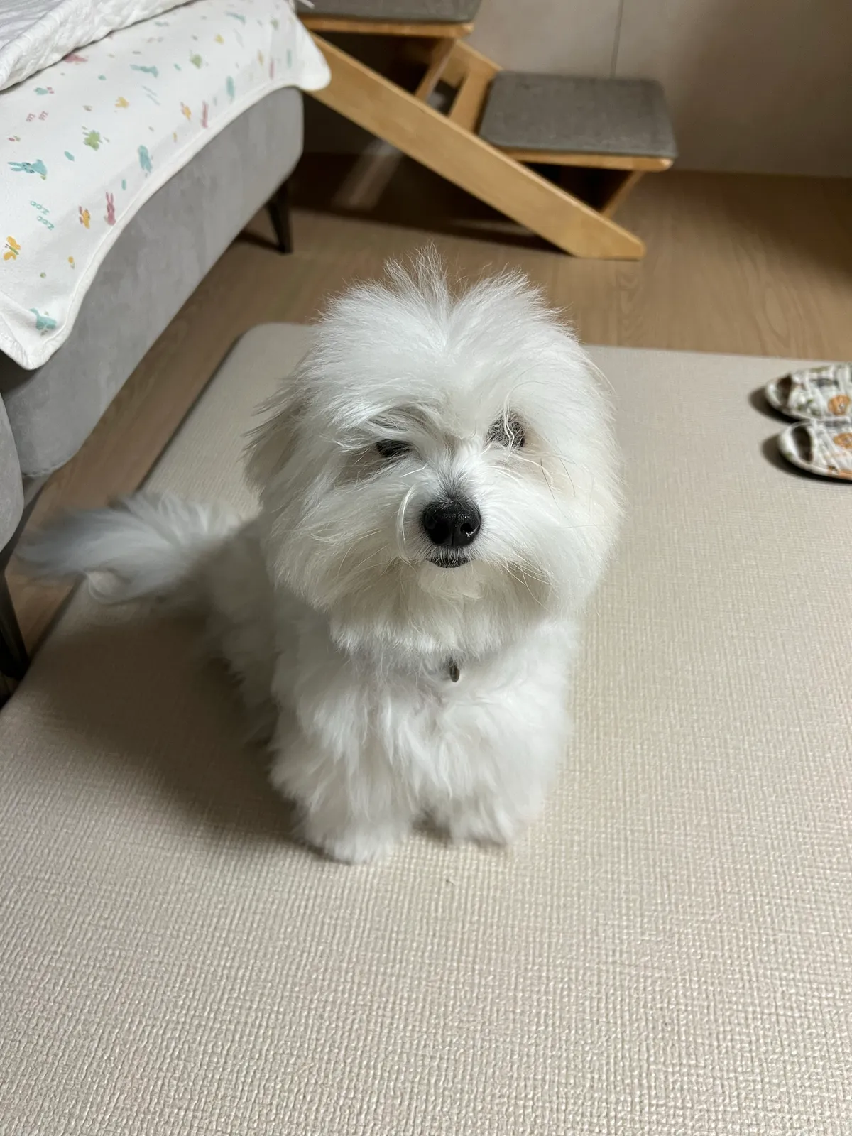 이미지 9