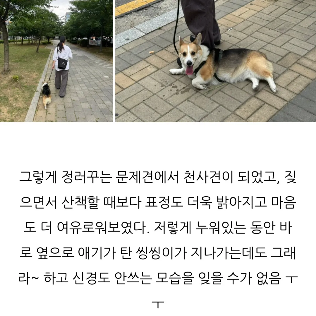 이미지 9