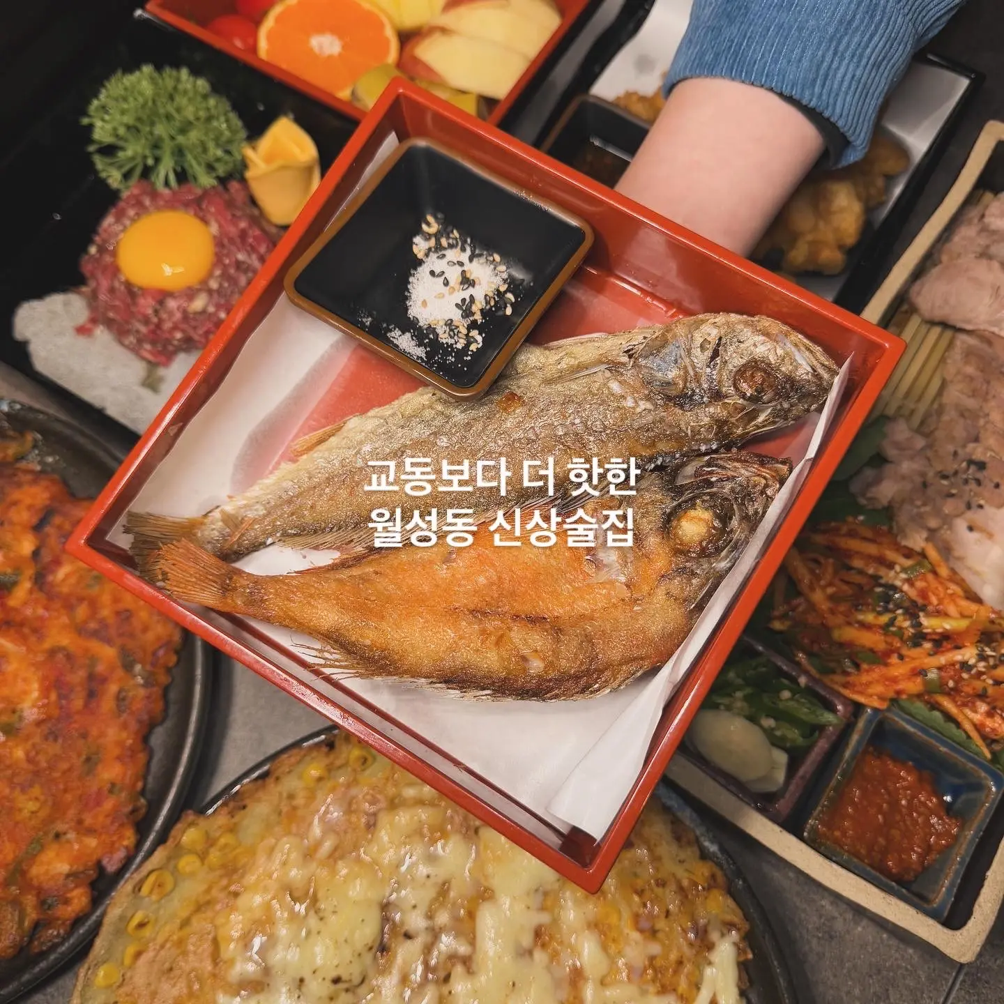 이미지 8
