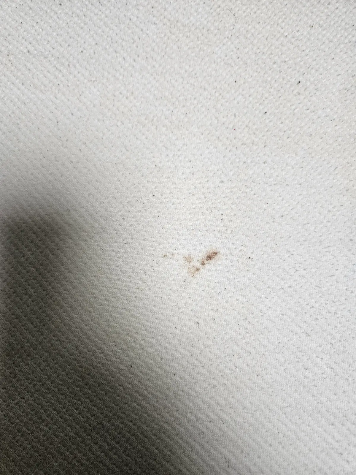 이미지 24