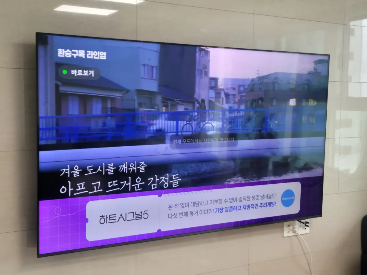 이미지 12