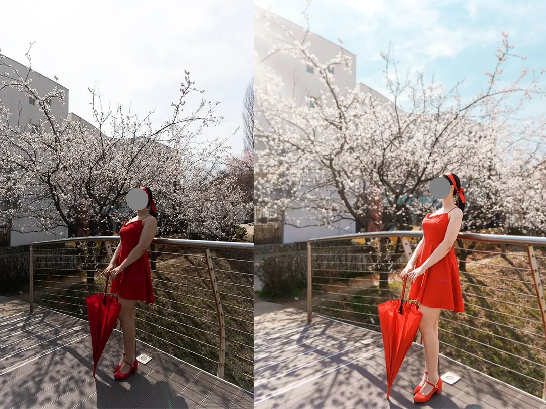 이미지 9