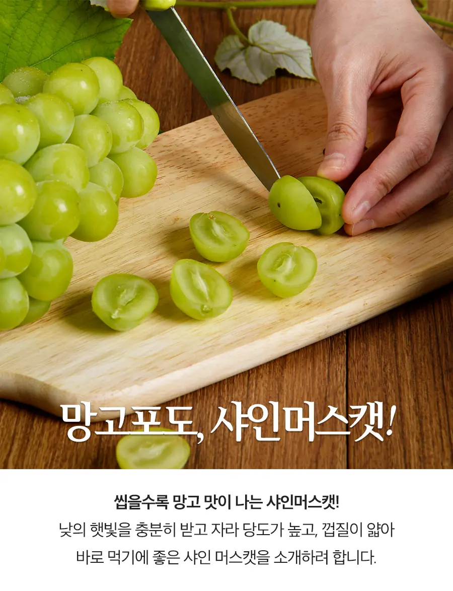 샤인머스캣 상세페이지 디자인 / 텍스츄라 - 숨고, 숨은고수 샤인머스캣 상세페이지 디자인